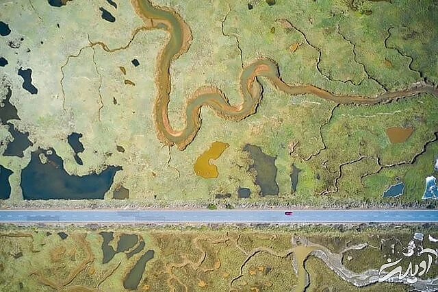 عکس های حیاتوحش برگزیده امسال را تماشا کنید